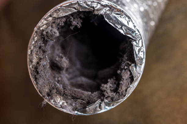 Best Residential Air Duct Cleaning  in Port Neches, TX